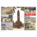 /album/foto%c4%9fraflar%3a-anasayfa/siirt-lc-20-060-500x500-jpg1/